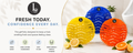 LIVIE8 Urinal Screen Deodorizer 24 Pack with Disposable Gloves, 8 Ocean Wave, 8 Citrus & 8 Lemon Burst Fragrance, Anti Splash Urinal Mats for Men Washroom